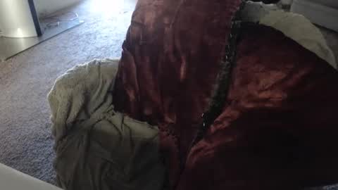 SKYLE   online show from December 21, 3:40 pm