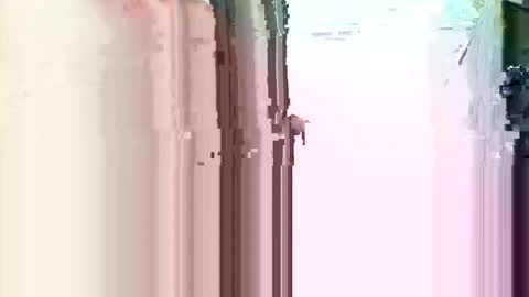 slatersurfer online show from December 3, 4:18 pm