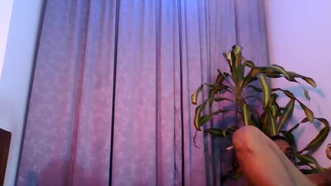 Slcouple online show from January 27, 2:13 pm