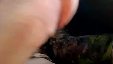 sneakylink777520 online show from October 18, 1:59 pm