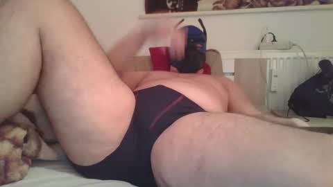 SoftPuppy online show from January 16, 11:58 pm