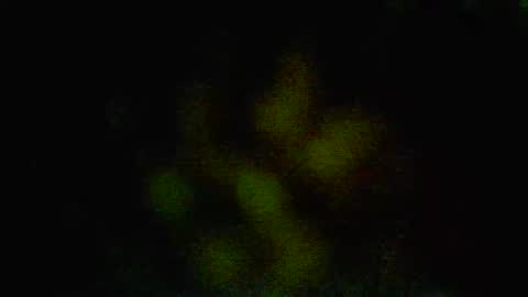 sobadsogood34 online show from January 8, 3:07 pm