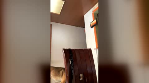 sofiacruz16 online show from March 5, 3:54 pm