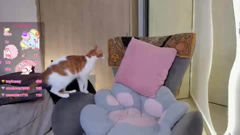 sofy_sofy online show from March 17, 5:45 am