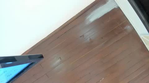 Sophie  online show from November 3, 2:18 pm