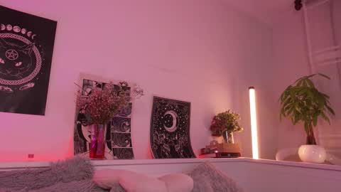 Sophiee  online show from February 19, 11:59 pm