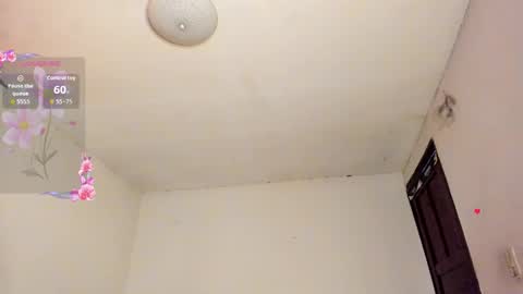 Snapshot of soul_catleya chatting on October 2, 11:53 am Soul  online show from October 2, 11:53 am