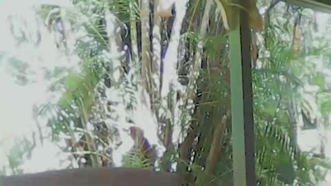 soveryhandsome online show from March 24, 11:22 pm