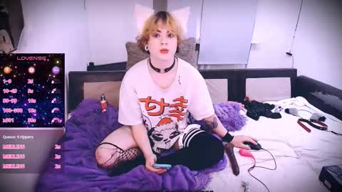 sparkyferret online show from December 17, 8:04 pm