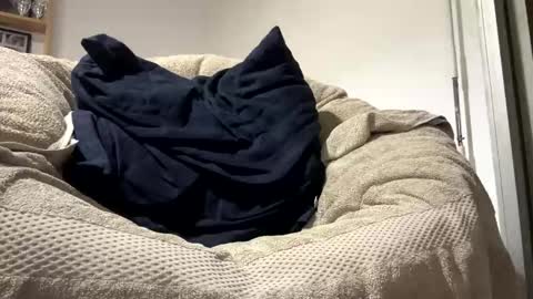 Dany online show from November 16, 11:40 pm