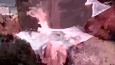 sprayx online show from November 23, 11:30 am