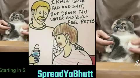 spreadyabhutt online show from February 21, 4:10 pm