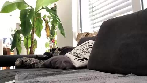 Snapshot of spritzer669 chatting on December 13, 12:28 pm Spritzer669 online show from December 13, 12:28 pm