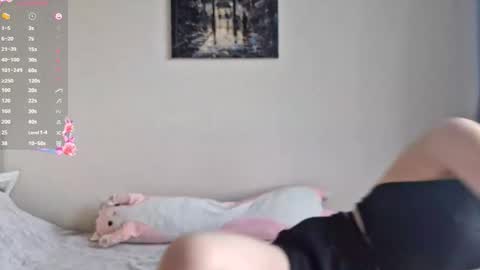 Stella online show from November 12, 8:16 am