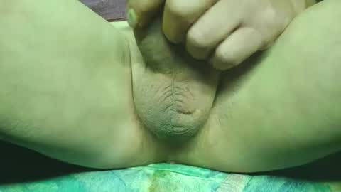 steri8888 online show from October 7, 5:36 am