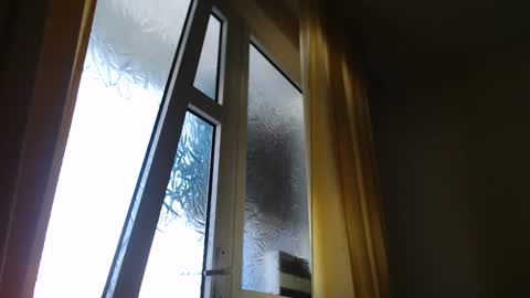 Steven online show from January 7, 11:58 am