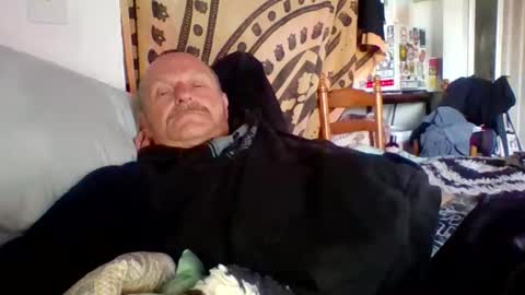 steviehard7 online show from November 2, 3:01 pm