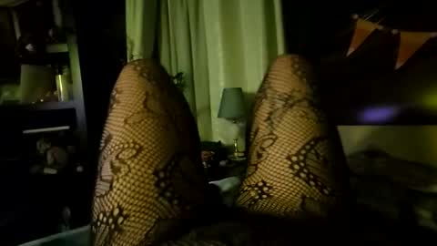 StockingGeek online show from November 9, 7:56 am