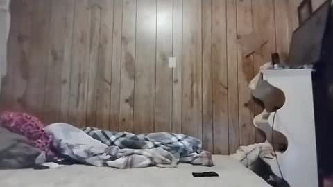 straighttoy online show from March 3, 5:09 am