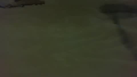 stratocatster online show from January 11, 4:46 pm