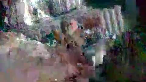 stud_1975 online show from March 2, 8:05 am