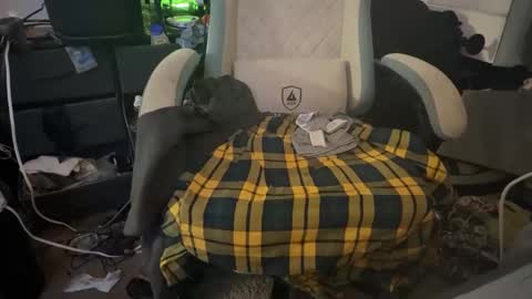 sub_boy221059 online show from October 28, 6:42 pm