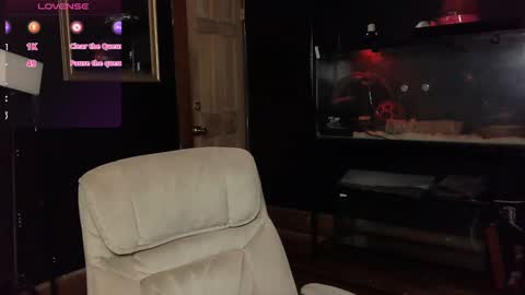 Polly online show from January 15, 5:15 pm