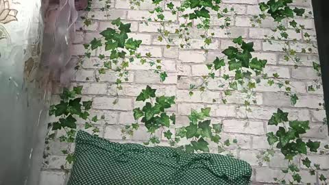 KATRIN online show from April 3, 7:15 am