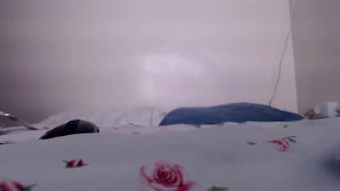 Snapshot of sukmykis chatting on December 17, 5:51 am sukmykis online show from December 17, 5:51 am