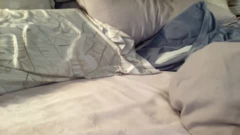 Summer online show from November 26, 6:37 pm