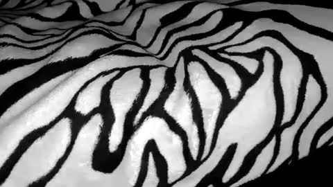 s online show from March 13, 12:03 am