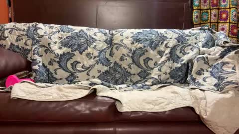 Stony online show from January 14, 7:48 am