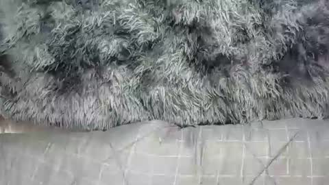 sweetnipples1987 online show from September 20, 11:19 pm