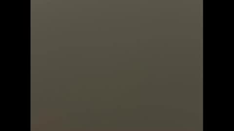 swimjock92262 online show from March 9, 11:03 am