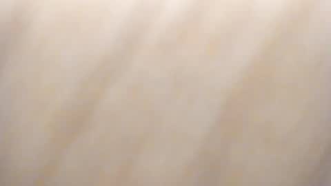 Snapshot of synop_sis chatting on September 23, 8:30 am Mila online show from September 23, 8:30 am