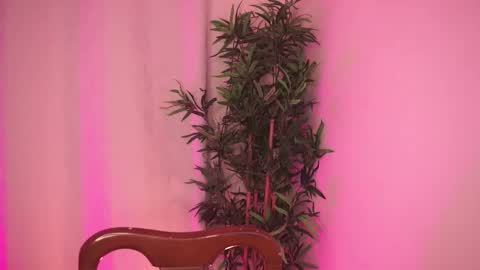 t0ny_wylie online show from February 9, 9:06 pm