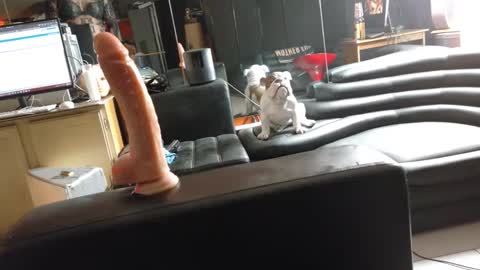 JackOfSpades online show from December 6, 8:01 pm