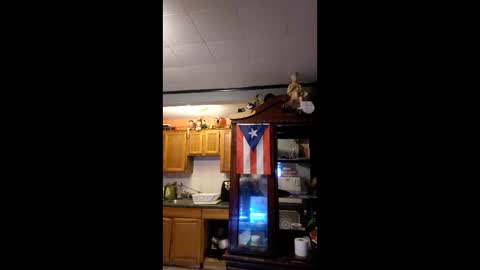 taliban809 online show from January 16, 11:47 pm