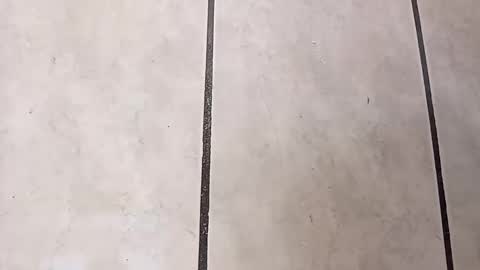 tall6feet7inch online show from October 6, 12:12 pm