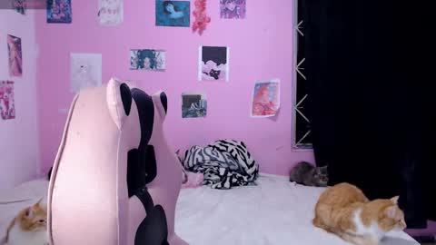 Alejandra Independent model online show from December 14, 6:02 am