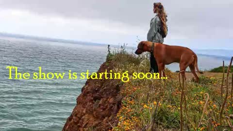 TATUM  ALL MY LINKS  online show from February 19, 1:05 am