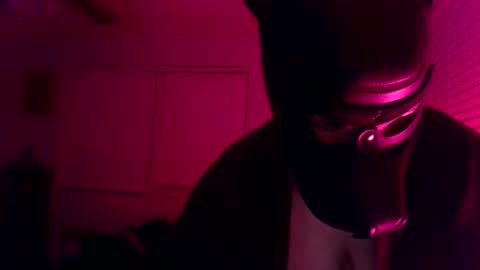 tdickpapito333 online show from December 15, 11:34 pm