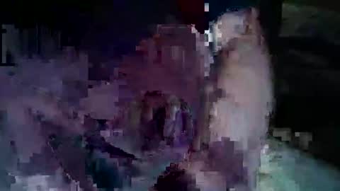 teal093795 online show from February 26, 7:12 am