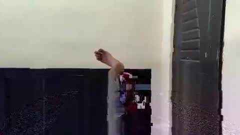 telugu_dick_hyd online show from November 15, 8:16 am