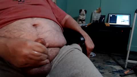 Templargeor online show from February 27, 12:14 am