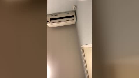 thanks8866 online show from December 15, 10:00 am