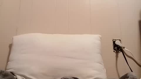 thatb1 online show from November 28, 2:13 pm