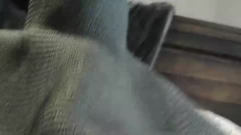 The Arctic Milf online show from March 2, 4:46 pm