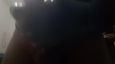 Andres  online show from November 20, 7:07 am