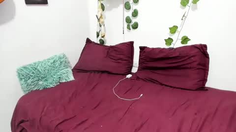 Ariamapola88 online show from February 5, 4:06 am